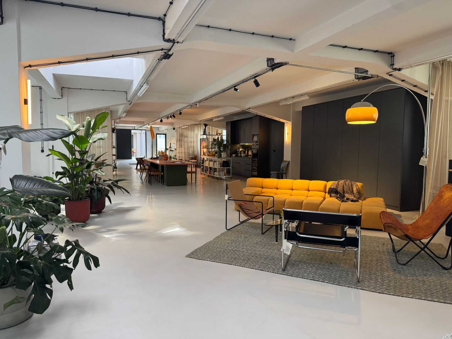 The Apartment 23