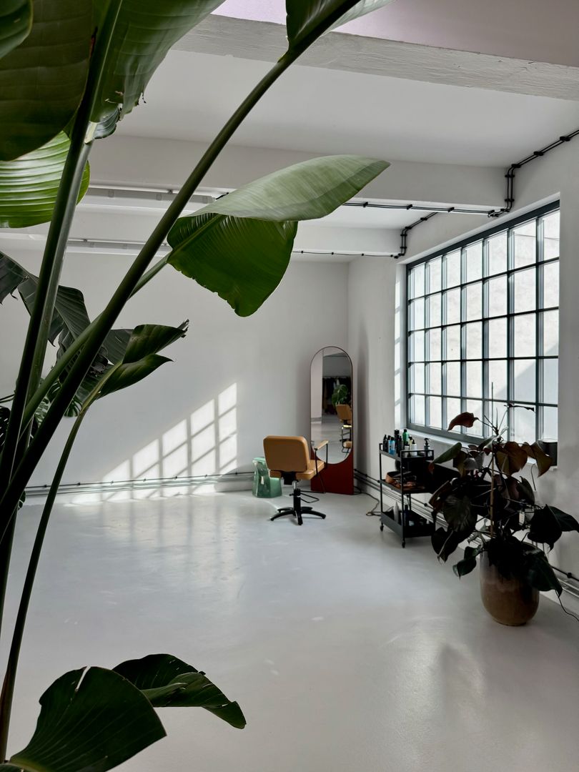 The Apartment 26