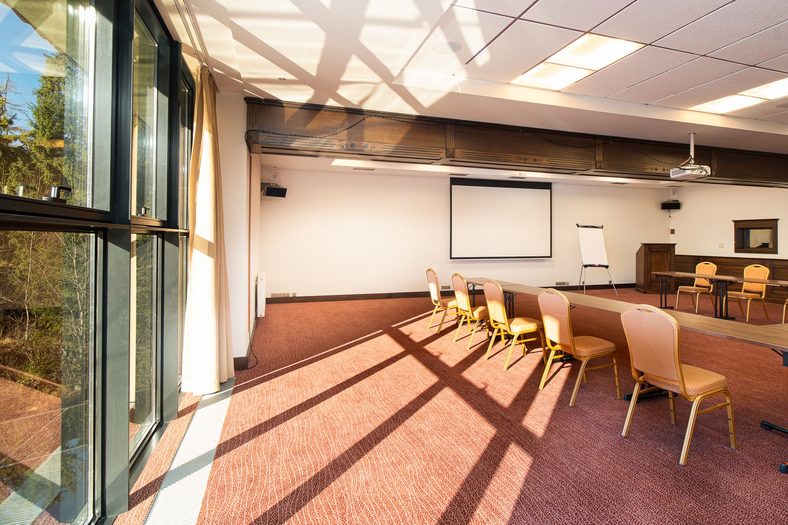 Wellness hotel Borovica **** 6