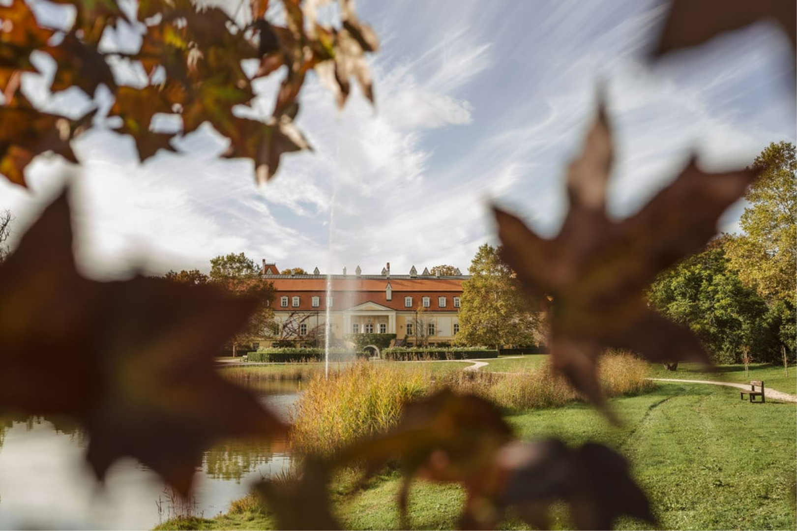 Chateau Bela 10