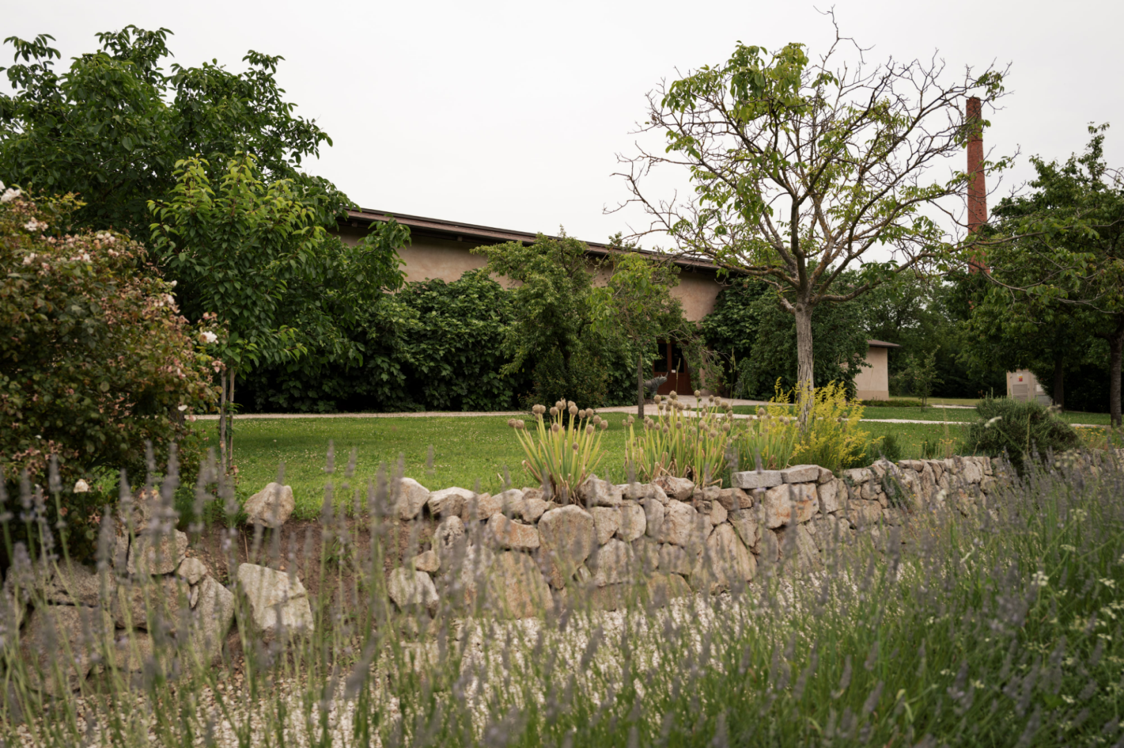 Chateau Bela 6