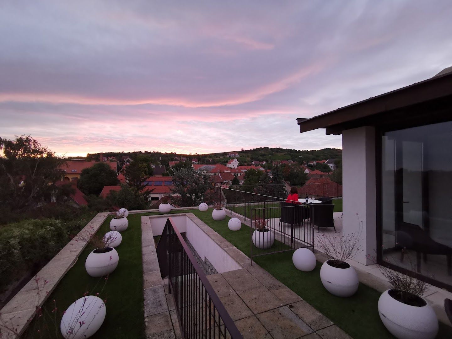 Hotel Botrytis 6