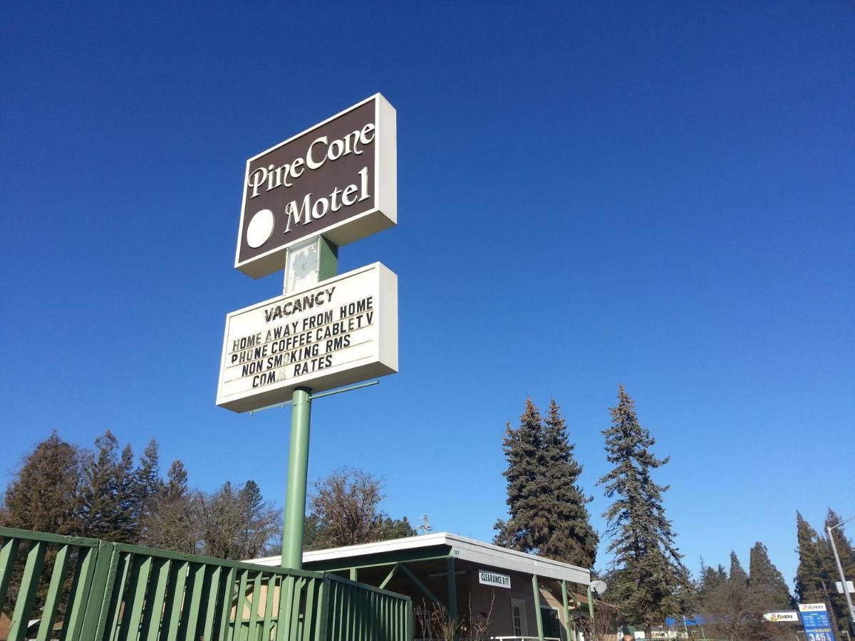 Pine Cone Motel 8