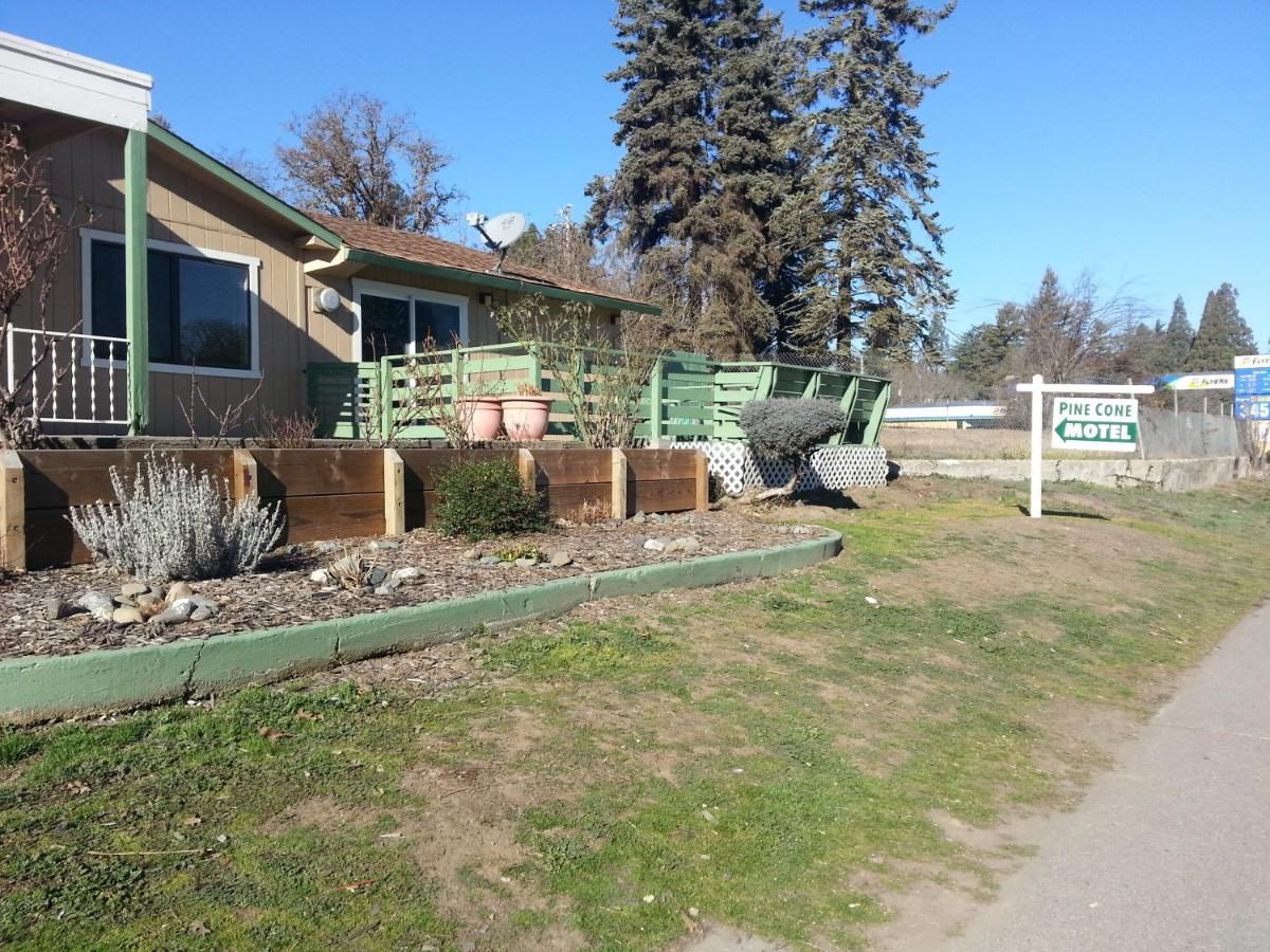 Pine Cone Motel 10