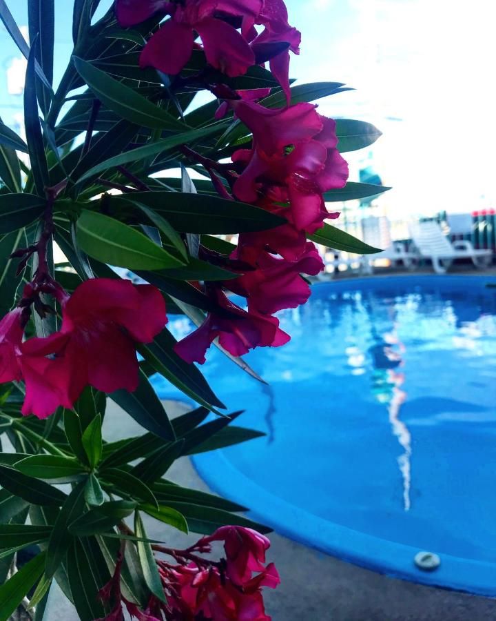 Sea Scape Inn - A Fine Family Destination 7