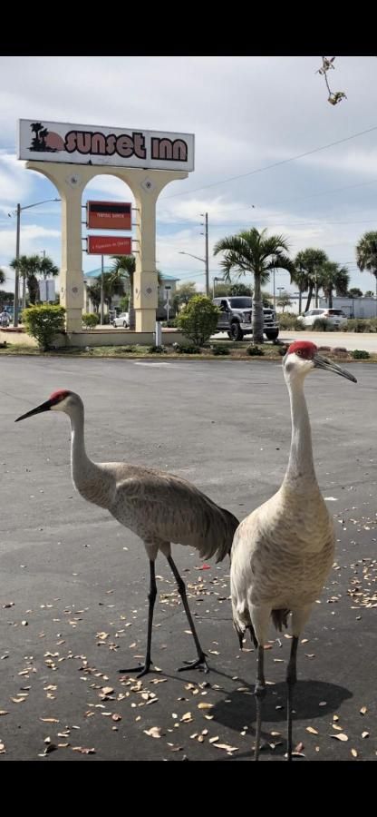 Sunset Inn- Fort Pierce, FL 8