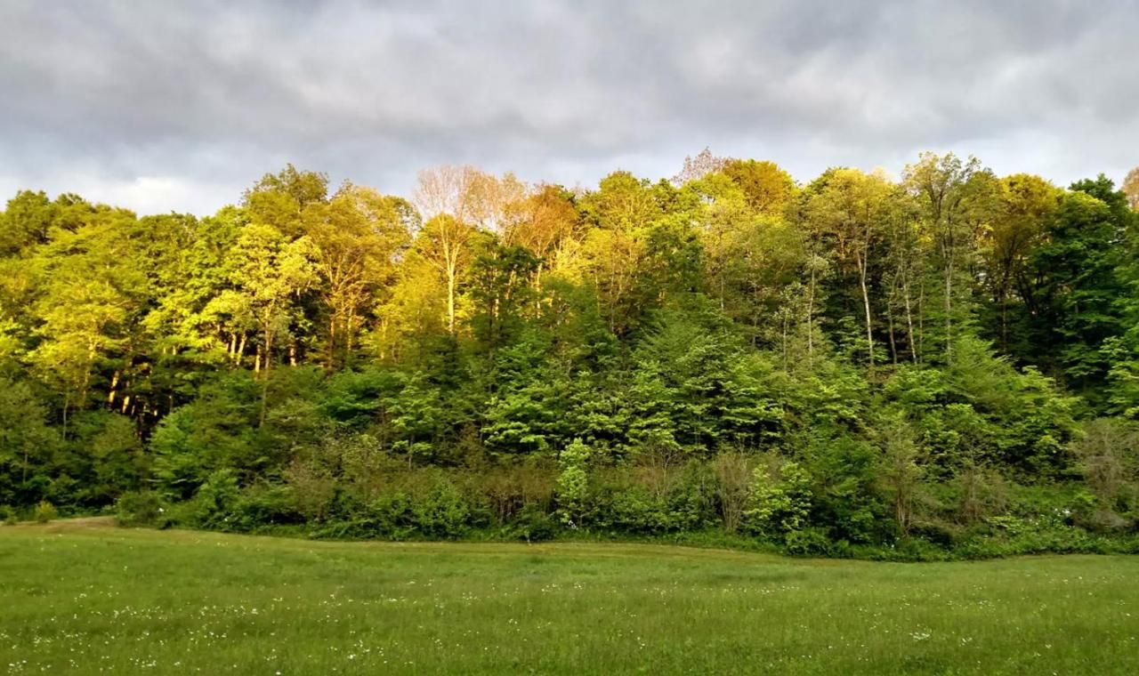 Altenbrauch Farm - Camping in the Hocking Hills 8