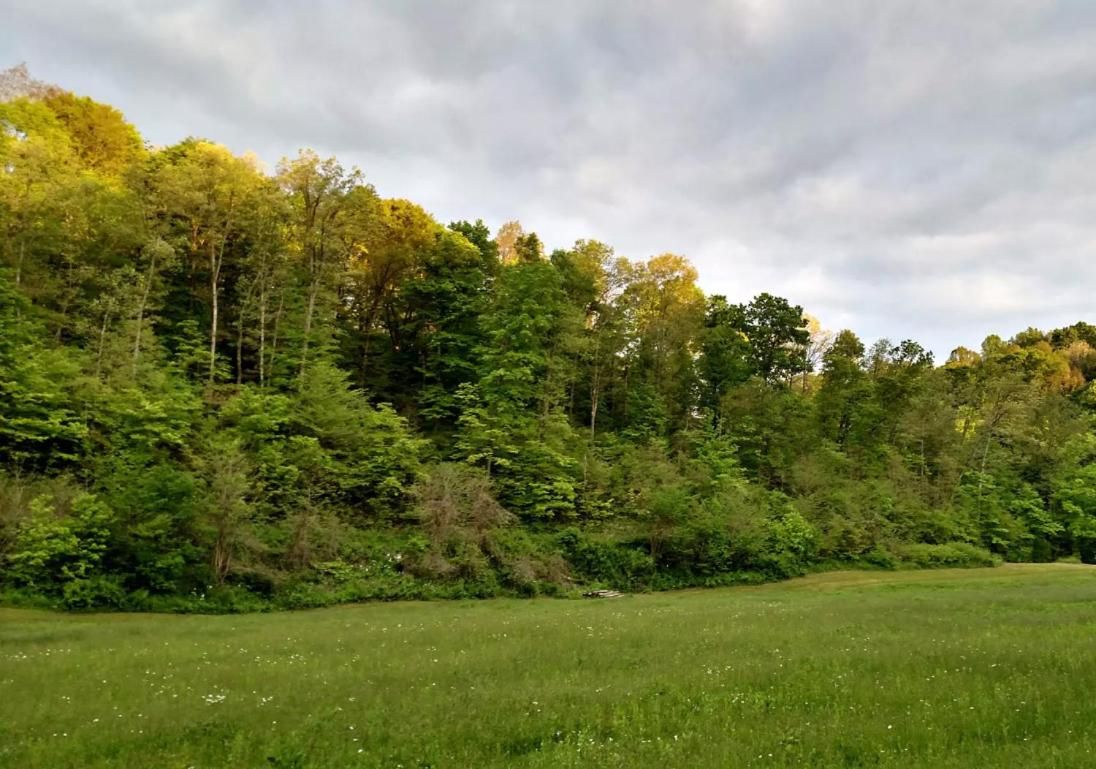 Altenbrauch Farm - Camping in the Hocking Hills 7
