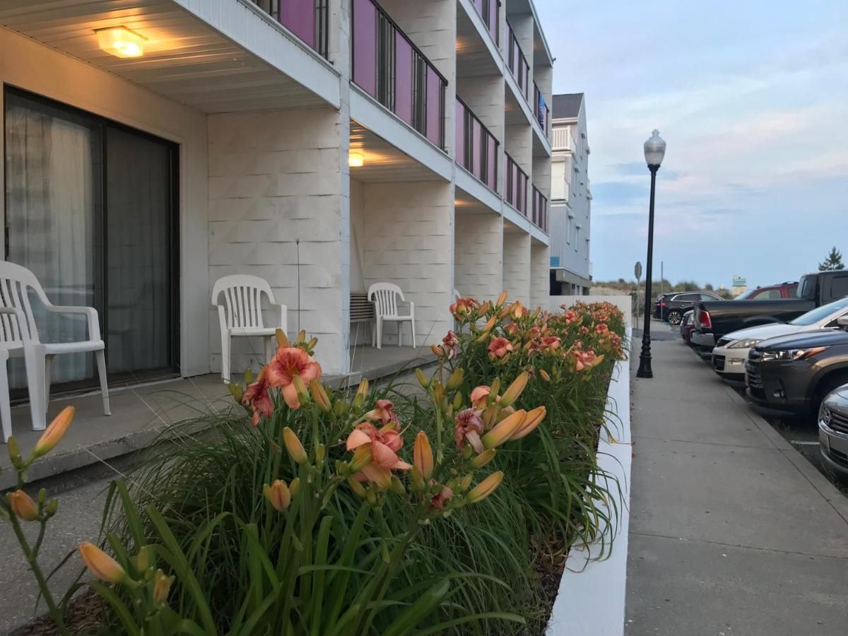 Simple Life Motel 10