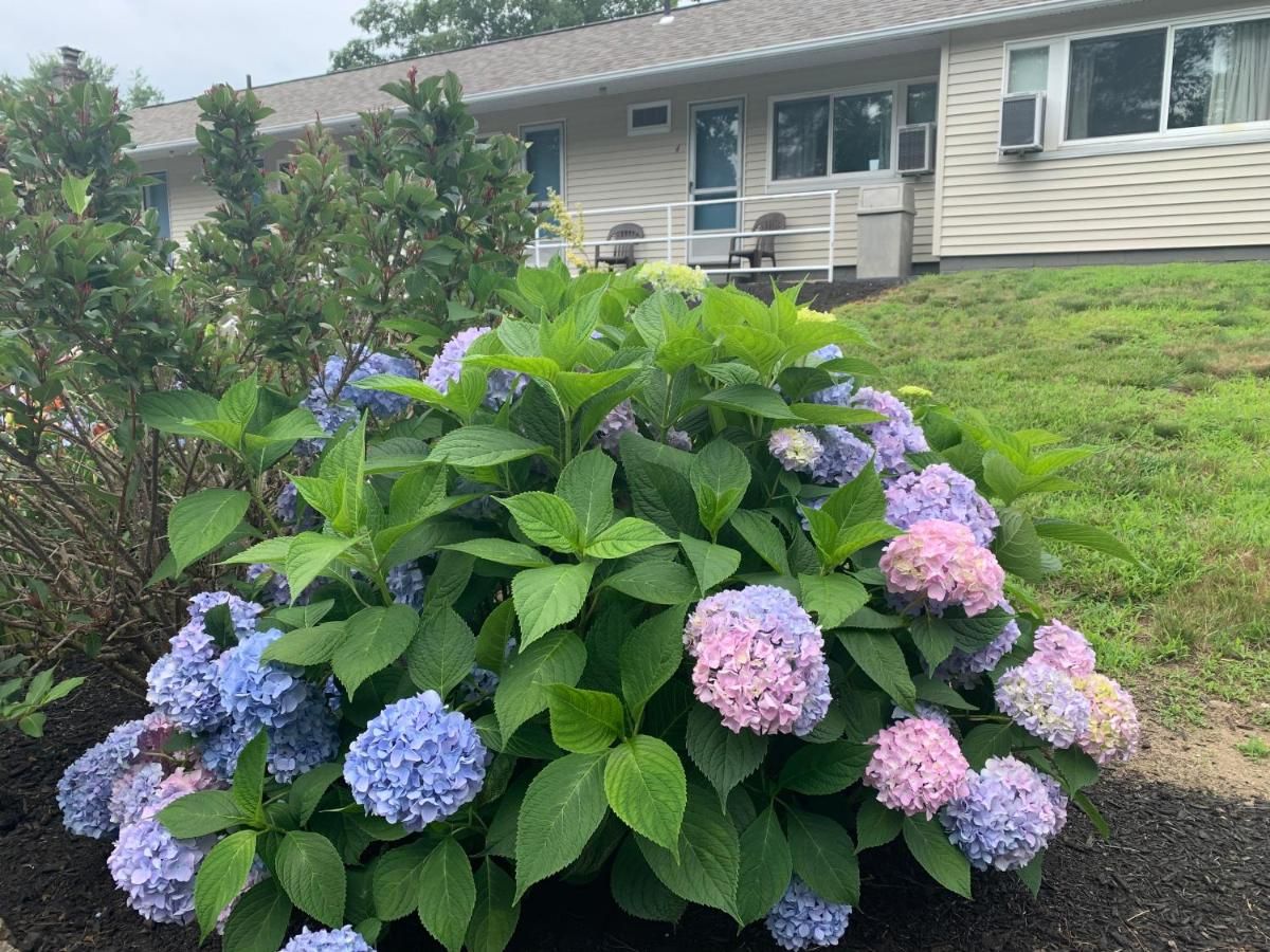 Northeaster Motel 8