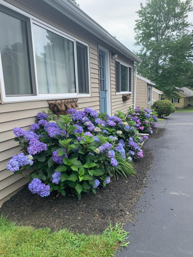Northeaster Motel 10