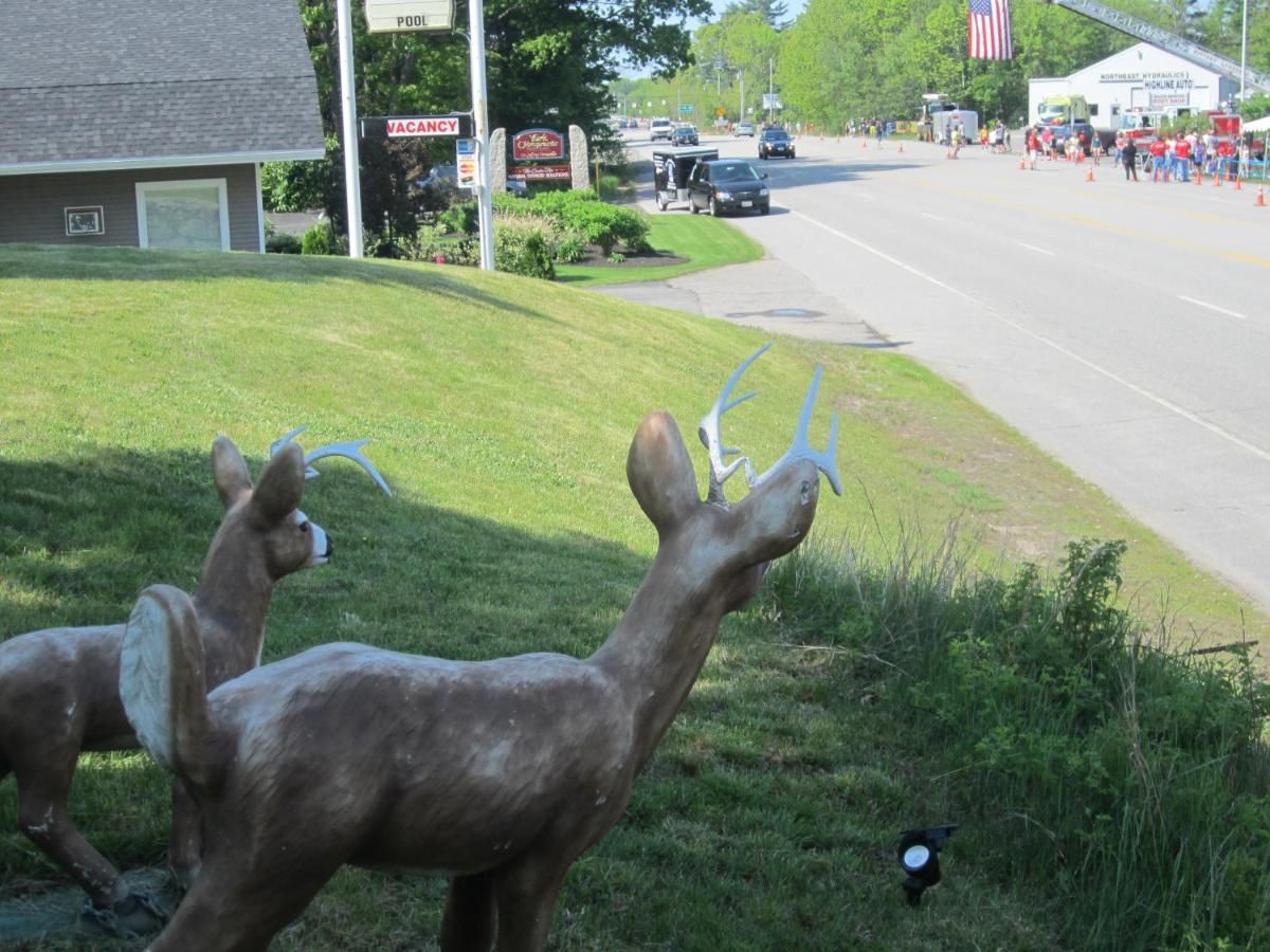Northeaster Motel 9